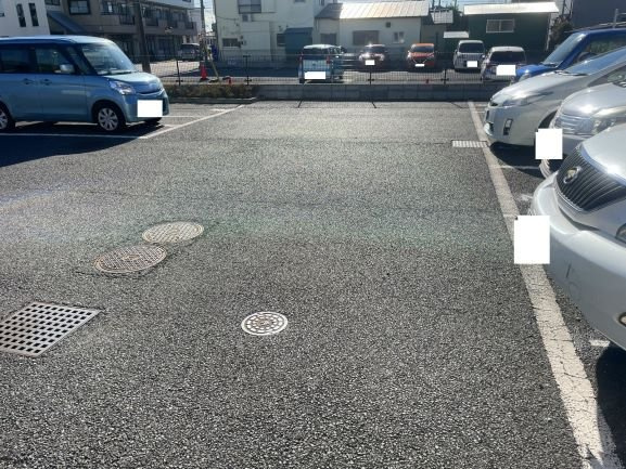 レオネクストチャコルルのその他