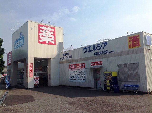 レオパレスゼスト西成田の周辺