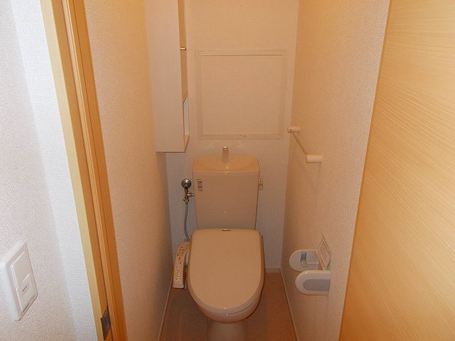 ビオーラ　Ａのその他