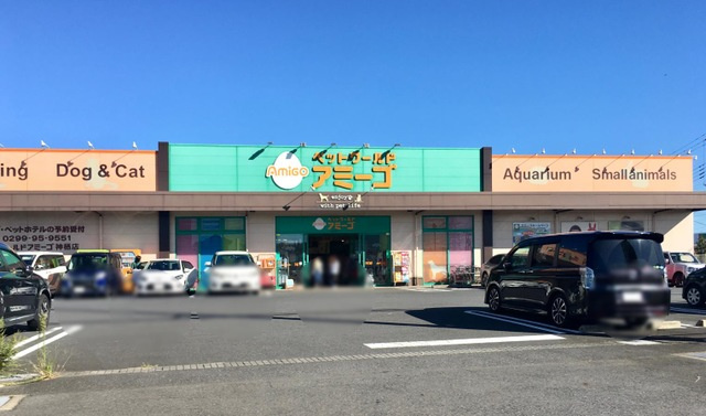 アベリアの周辺|アミーゴ　神栖店 0.5km