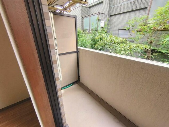 【展望】