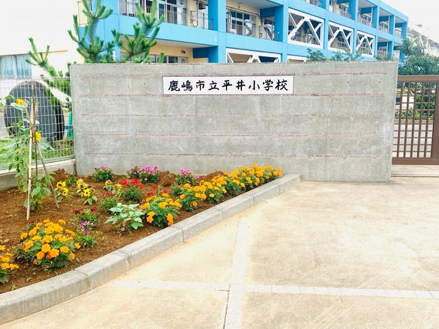 シエル　ブルームの周辺|平井小学校 0.5km