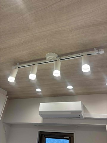 グランドメゾン本郷の居間・リビング|照明です
