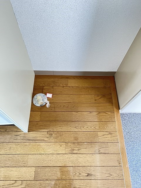 猪名寺パークマンションⅡのその他