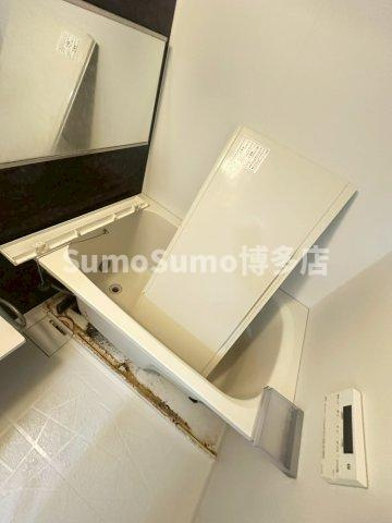 エルヴィータ駅南の浴室