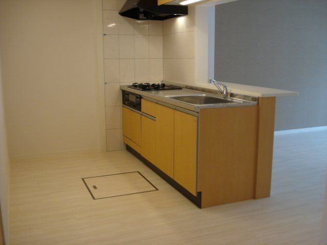 Ｌｕｃｅｎｔ　Ｈｉll　Ⅲのキッチン