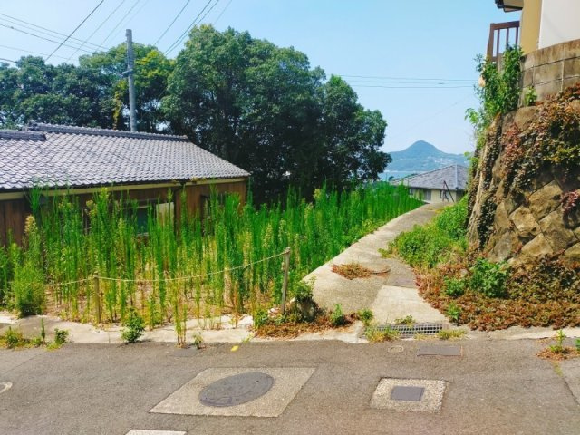 藤原町　土地の外観