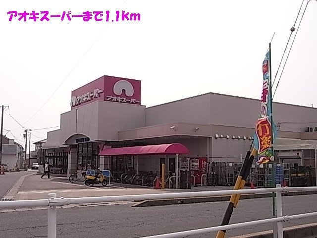 エバーグリーンのその他