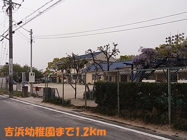 エバーグリーンのその他