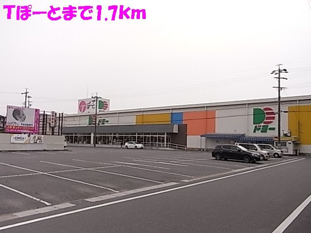 エバーグリーンのその他
