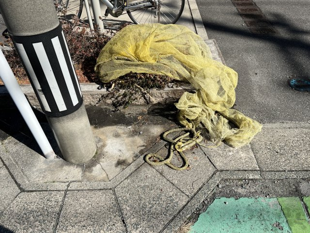 リゲルの周辺|碧南市役所まで850m