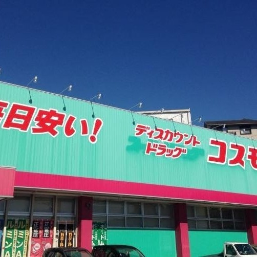 若葉町戸建の周辺