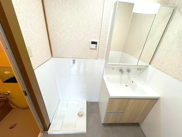 羽曳野市東阪田戸建の洗面所
