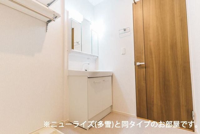 シューネスハイムⅣの洗面所