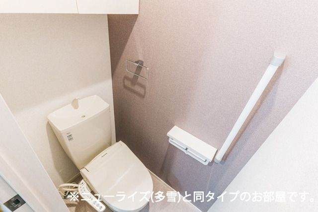 シューネスハイムⅣのトイレ