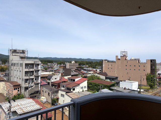 ダイアパレス高田弐番館西棟の展望