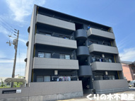 MATSUMOMENT桜井Ⅱの画像