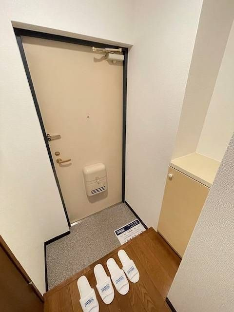 柏市柏２丁目の賃貸マンションの玄関