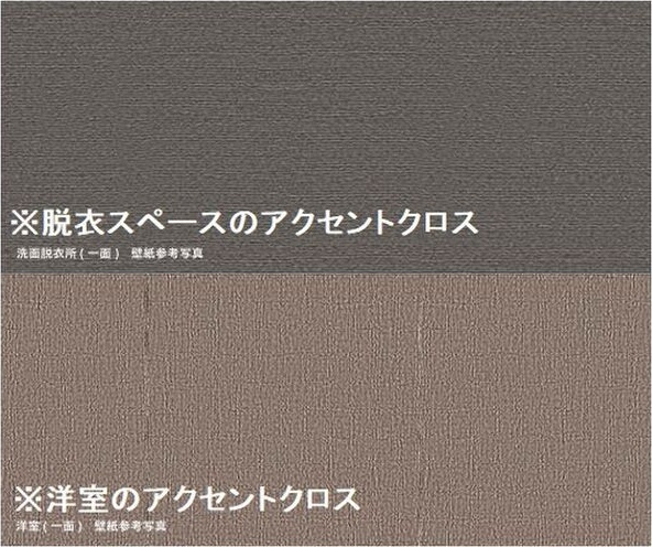 アエスタースのその他