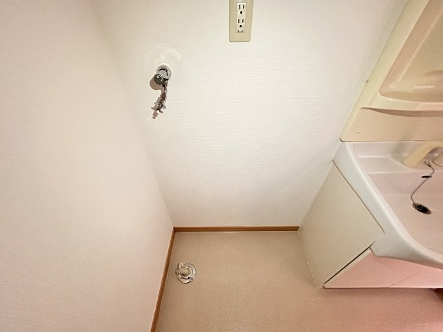 メゾンクラシードⅡの洗面所|103号室写真