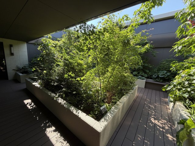 グランドメゾン福岡The Central Luxeの中庭|
手入れの行き届いた、美しい植栽です☆