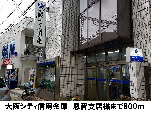 【周辺】 | サン　アルモニー　寺川 | 大阪シティ信用金庫　恩智支店まで800m