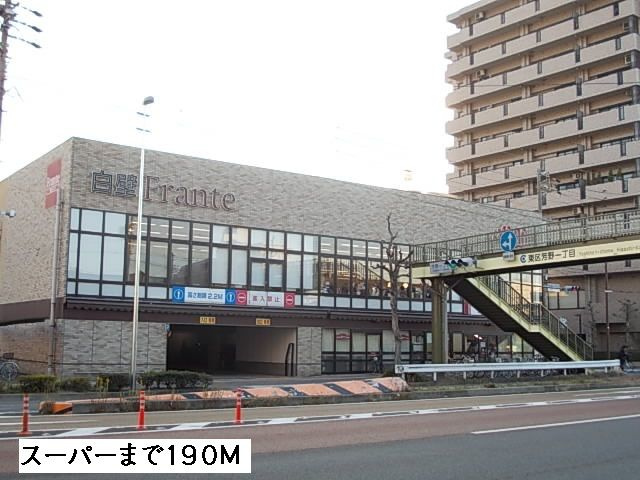 モデッサ芳野Ｎのその他