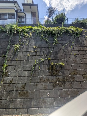 グリーンハイツの展望