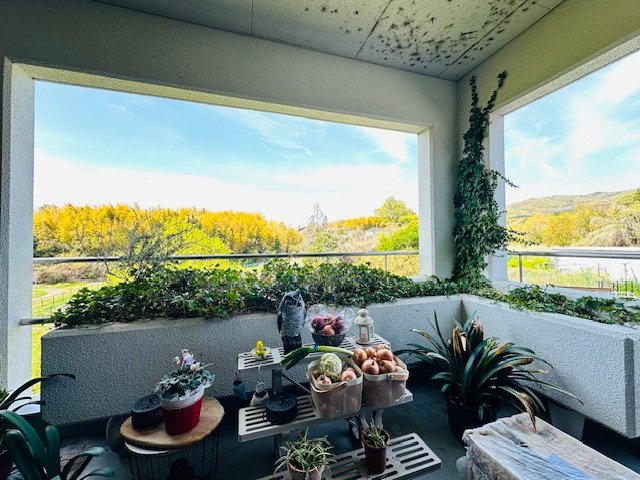 奈良市古市町　中古戸建のバルコニー|北側バルコニー