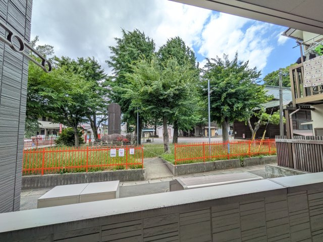 ウインドワードの展望