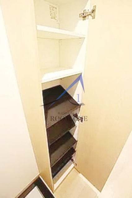 スマートＶＩＬＬＡ中延参番館　の収納|収納です。