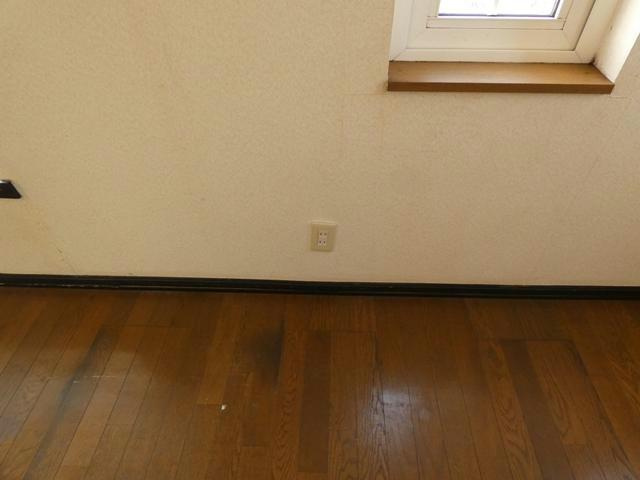 アレナスのその他