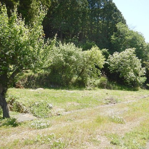 波佐見町湯無田郷　土地の外観