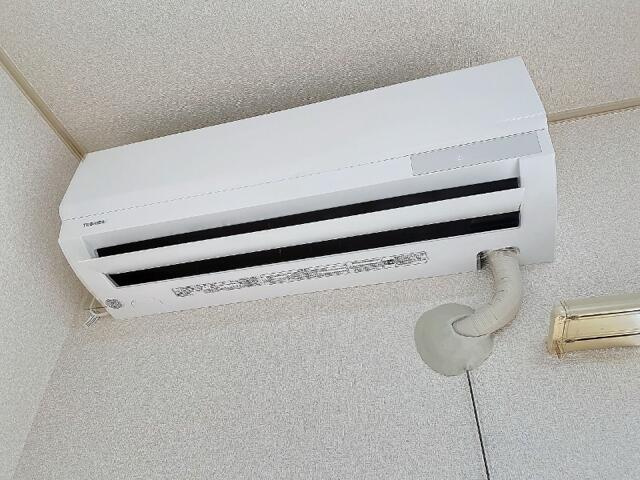 参考写真