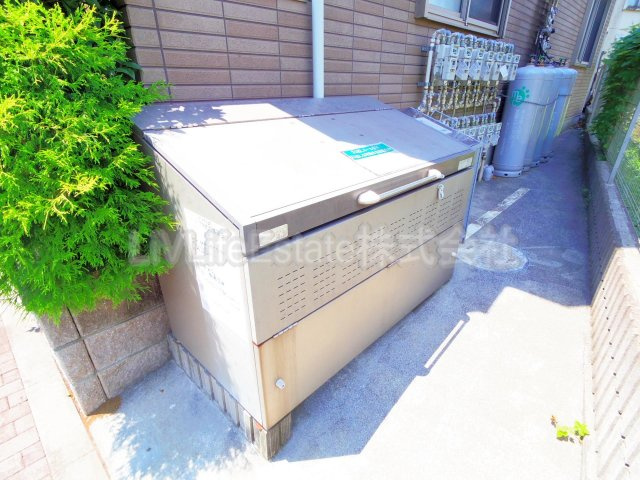 サンドルチェ