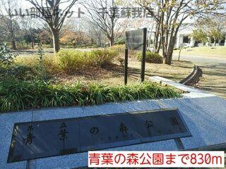 フリーデのその他