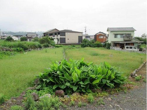 別府市上人南のその他|現地写真
