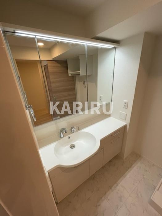 D-room 新今里の洗面所