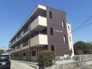 Ｔ・マリッチの画像