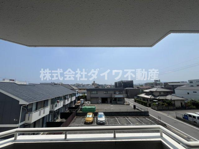 ヴィアンカ’80の展望