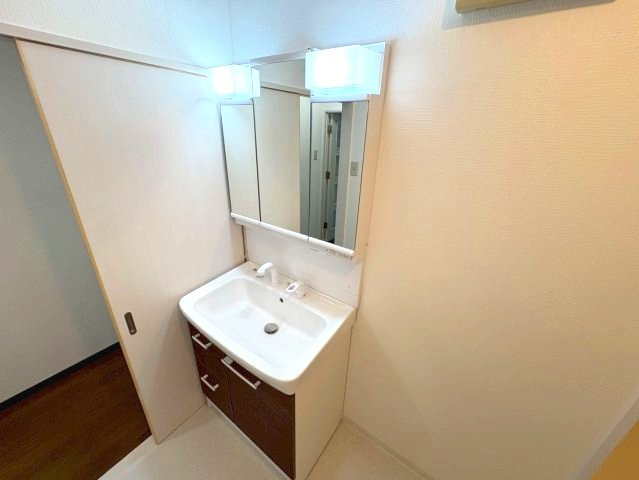 メゾンドール富田林の独立洗面台