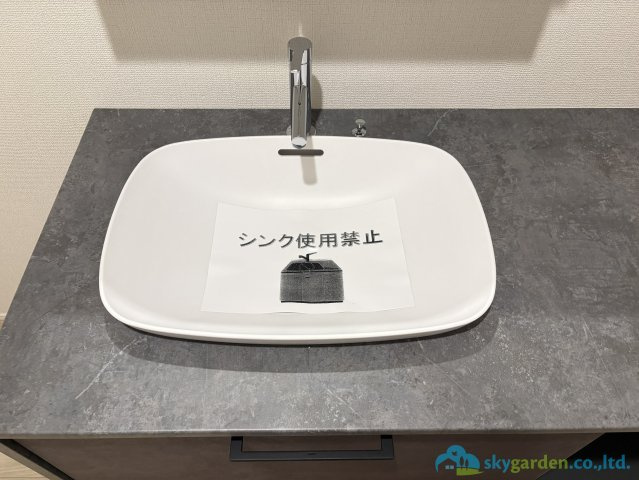 伊勢原市上粕屋第1期　新築戸建　全1棟1号棟の独立洗面台