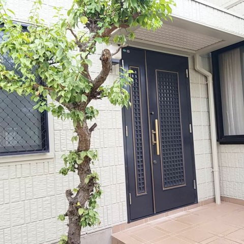 市川真間５丁目中古戸建のその他