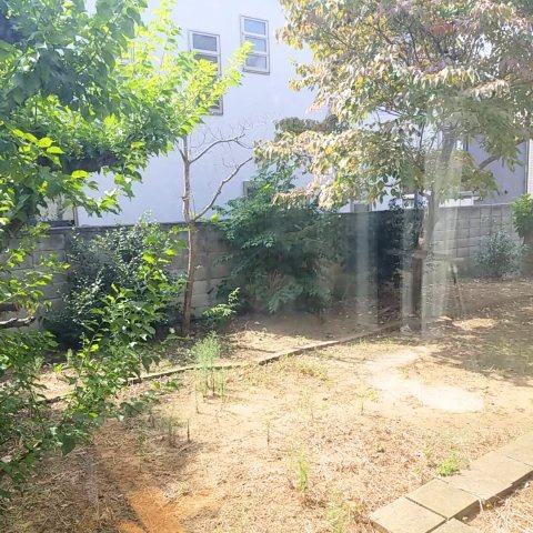 市川真間５丁目中古戸建の庭