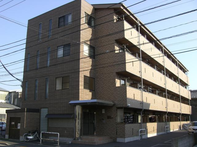 ラクダの画像