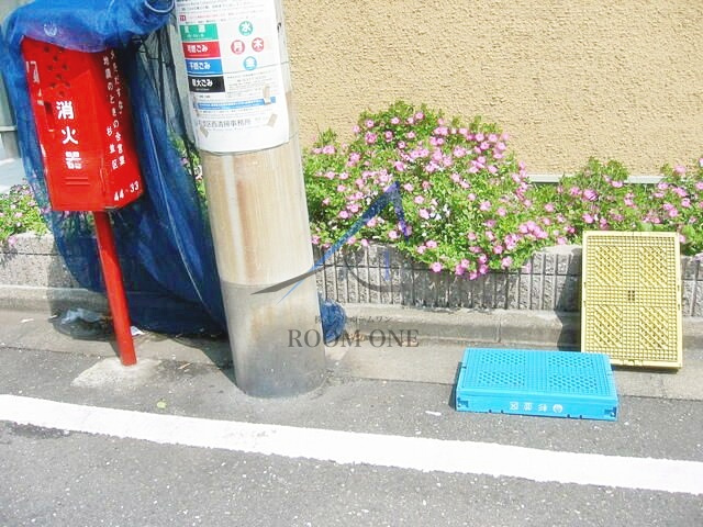 ピー・ドック