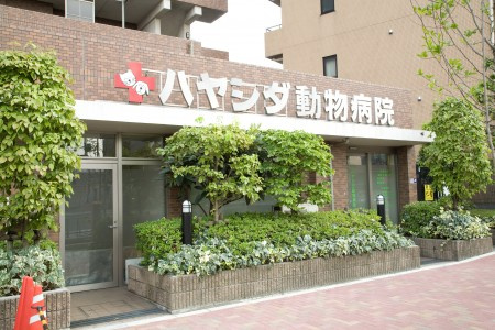 87ｈｏｕｓｅの周辺