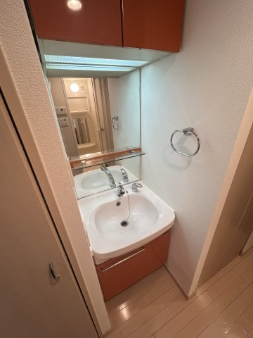 プレサンス本町プライムの洗面所