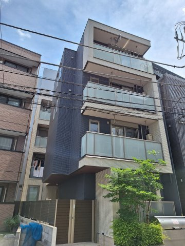 meteoriteの外観