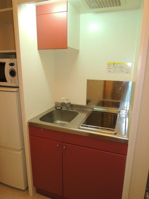 レオパレスフィオーレ月寒のキッチン|２口電気コンロ